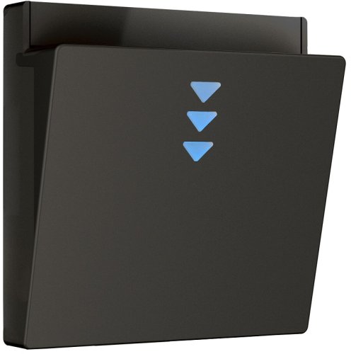 Лицевая панель Werkel для карточного выключателя черный матовый картинка